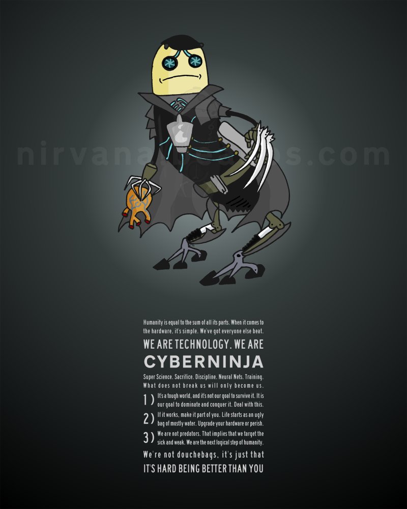 The Cyberninjas